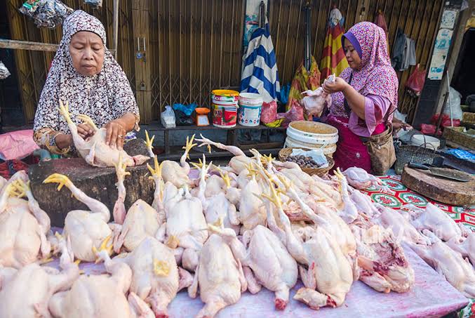 Ilustrasi harga ayam dan bawang putih di Pekanbaru masih mahal (foto/int)